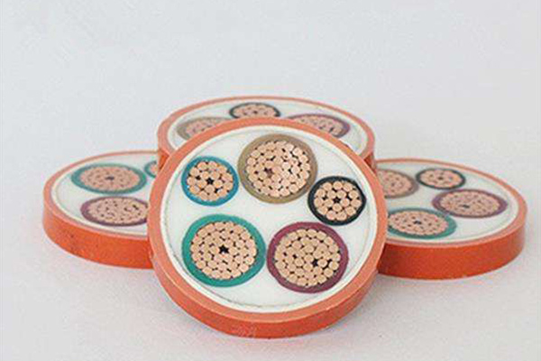 �����Ե�������BBTRZ