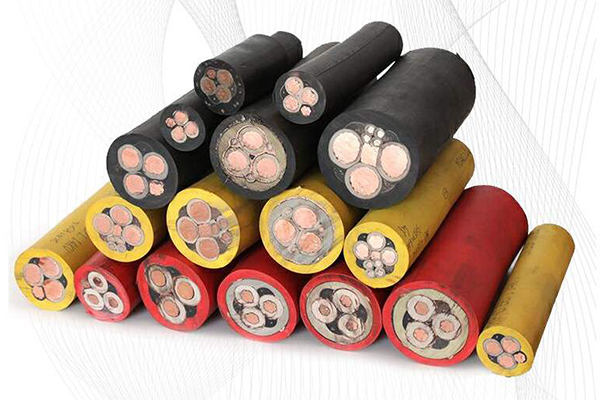 �������׵���MYP