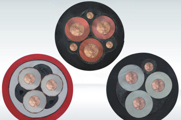 �������׵���MYP